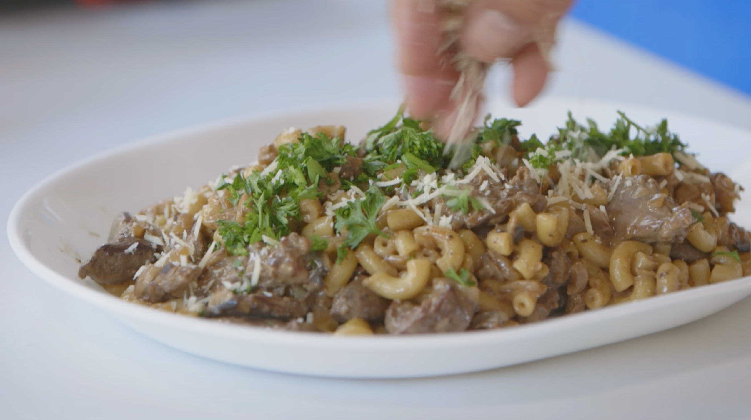 Pigeon et Pâtes aux Champignons Sauvages